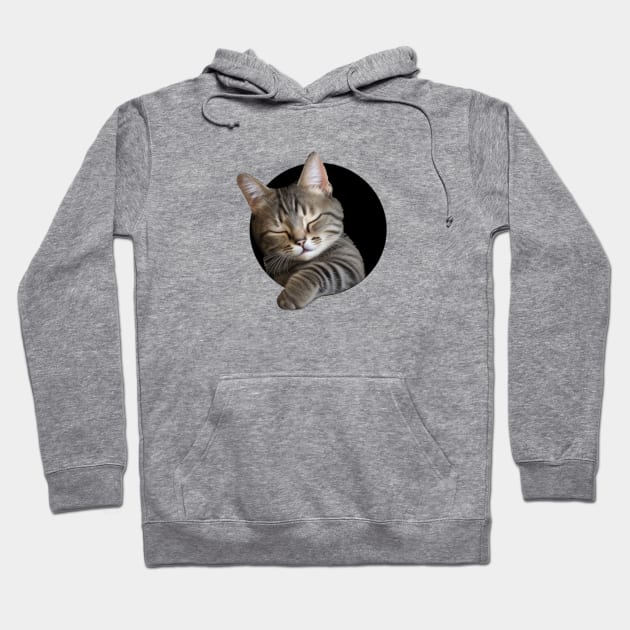 Cute sleeping kitten (too cute!) Hoodie by Cavaleyn Designs